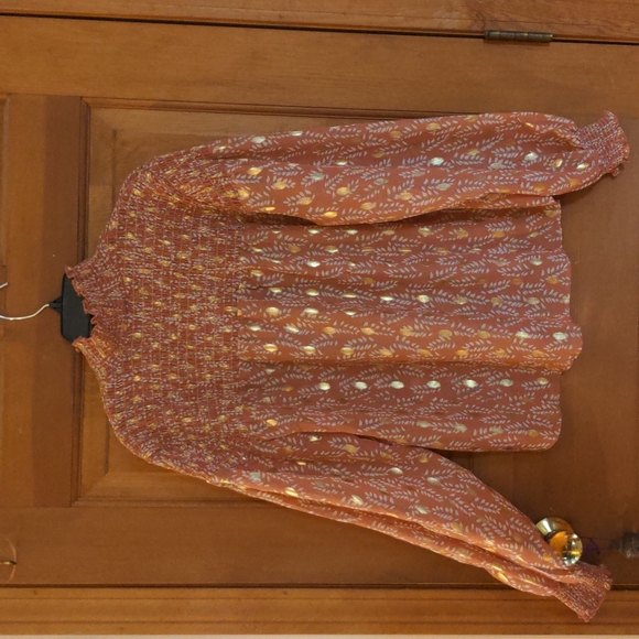 Bigyonger Sheer Shirred High Neck Blouse With Metallic Accents Red Bean Paste - Picture 8 of 11